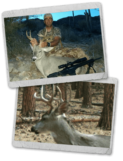 Arizona / New Mexico Coues Deer Hunting
