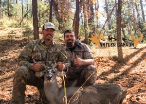 Arizona Coues Deer